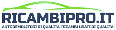 RicambiPRO for Business